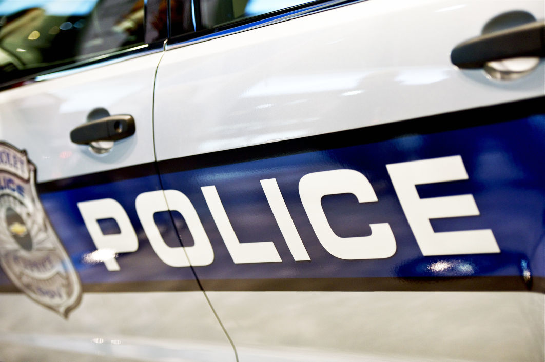 DCFS reports referred to law enforcement